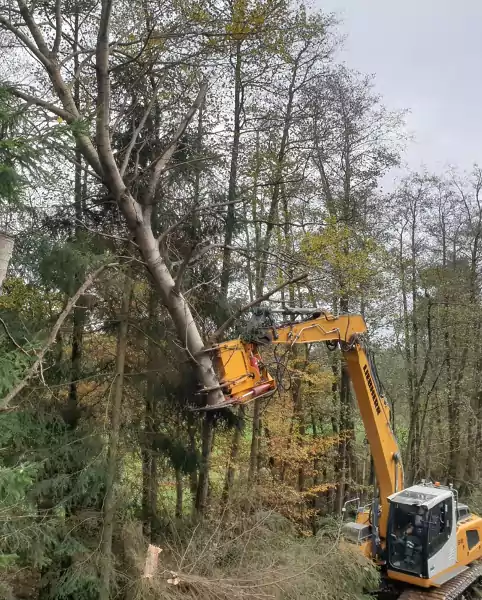 Eine landwirtschaftliche Maschine bei Baumfällarbeiten in Geestland