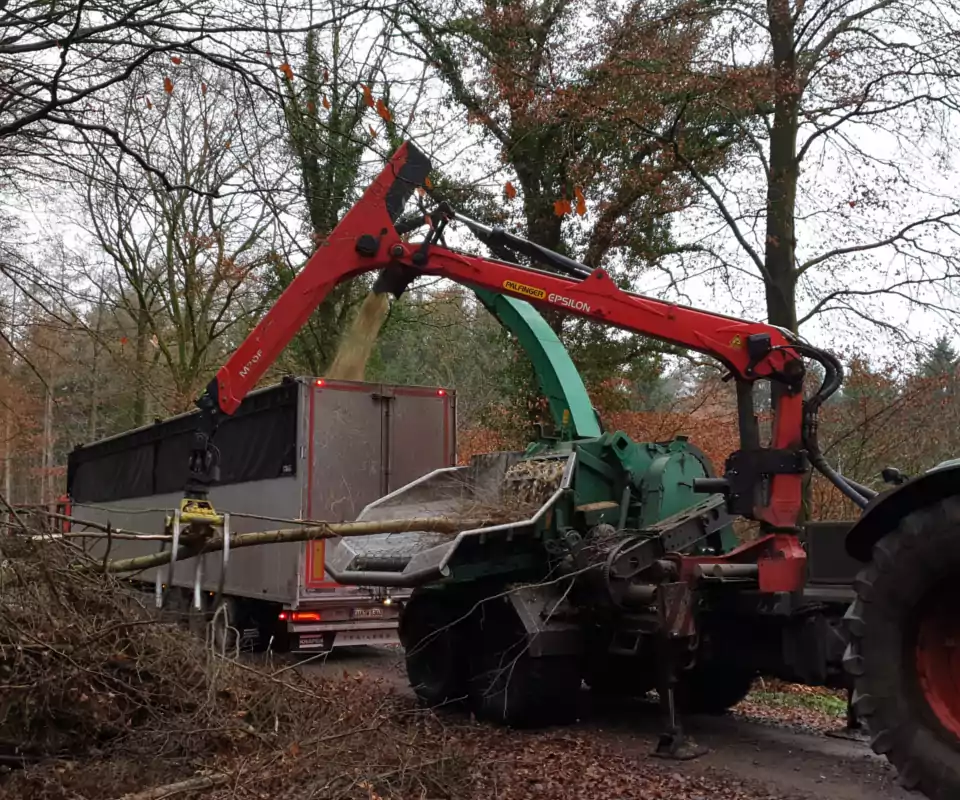 Verladung der Bäume nach der Baumfällung in Cuxhaven